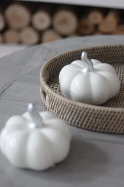 Ceramic Pumpkin Speckled – Medium 2PC