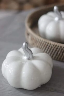 Ceramic Pumpkin Speckled – Medium 2PC -Pretty Little Home IMG 6220 2