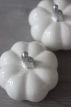 Ceramic Pumpkin Speckled – Medium 2PC -Pretty Little Home IMG 6221 2