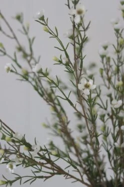 Faux Wax Flower Stem -Pretty Little Home WFIMG 9196 2