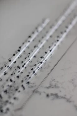 Set Of 4 Glass Straws – Black/Polka Dot -Pretty Little Home aaIMG 7038