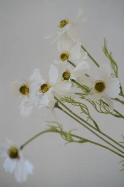 Faux Cosmos Stem -Pretty Little Home image00038 2